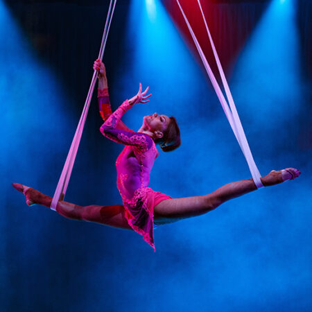 Aerialist (Rigging to Venue, Starting at $650)